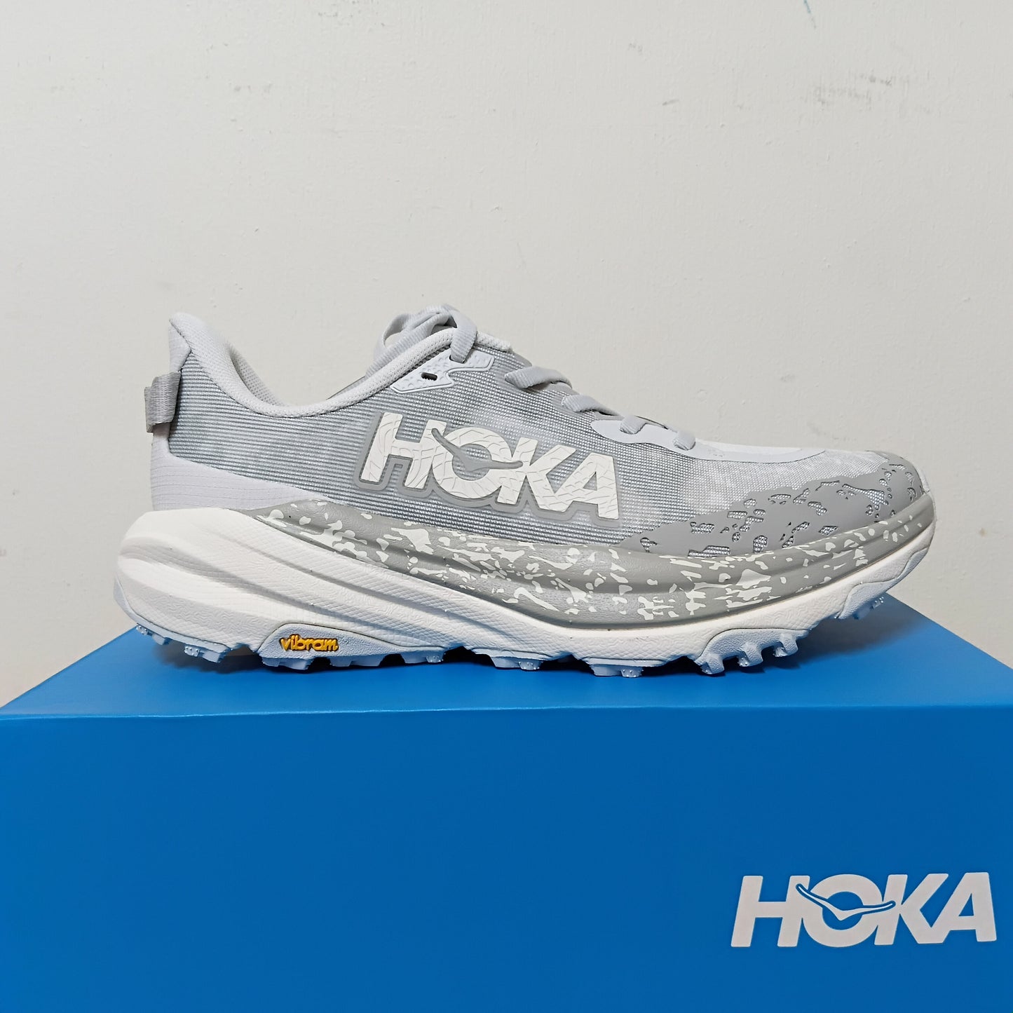 Womens Hoka Speedgoat 6 (B-Width)