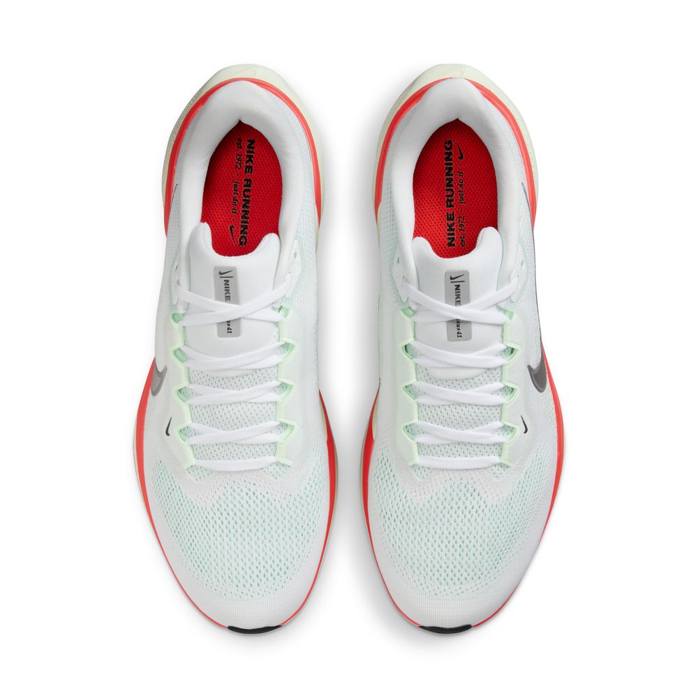 Mens Nike Pegasus 41