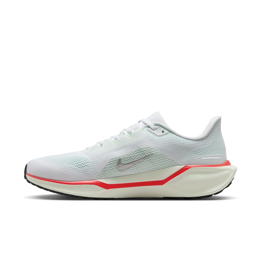 Mens Nike Pegasus 41