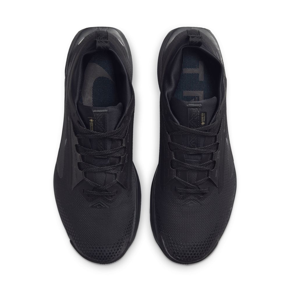 Mens Nike Pegasus Trail 5 GTX (D-Width)