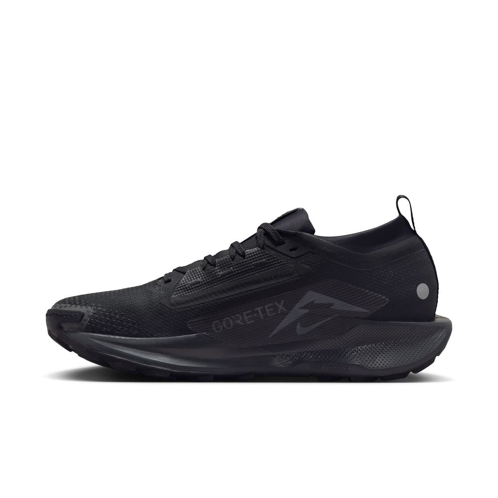 Mens Nike Pegasus Trail 5 GTX (D-Width)