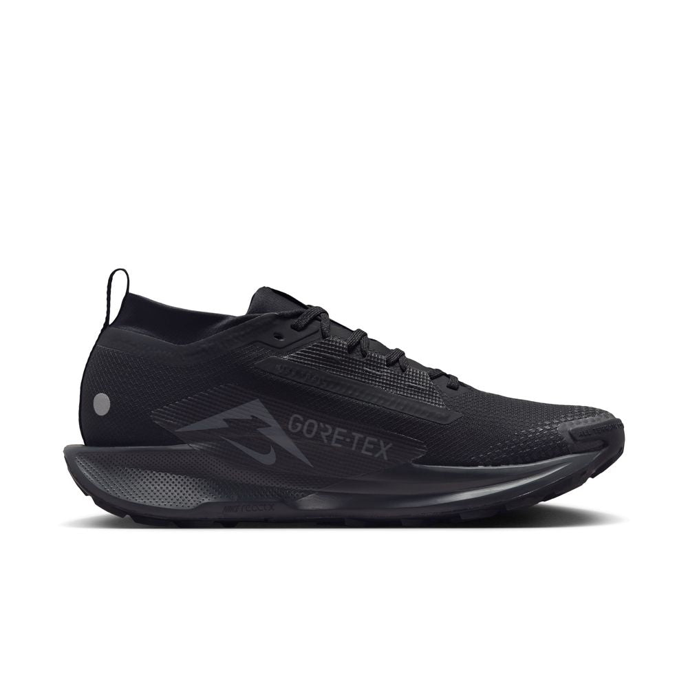 Mens Nike Pegasus Trail 5 GTX (D-Width)