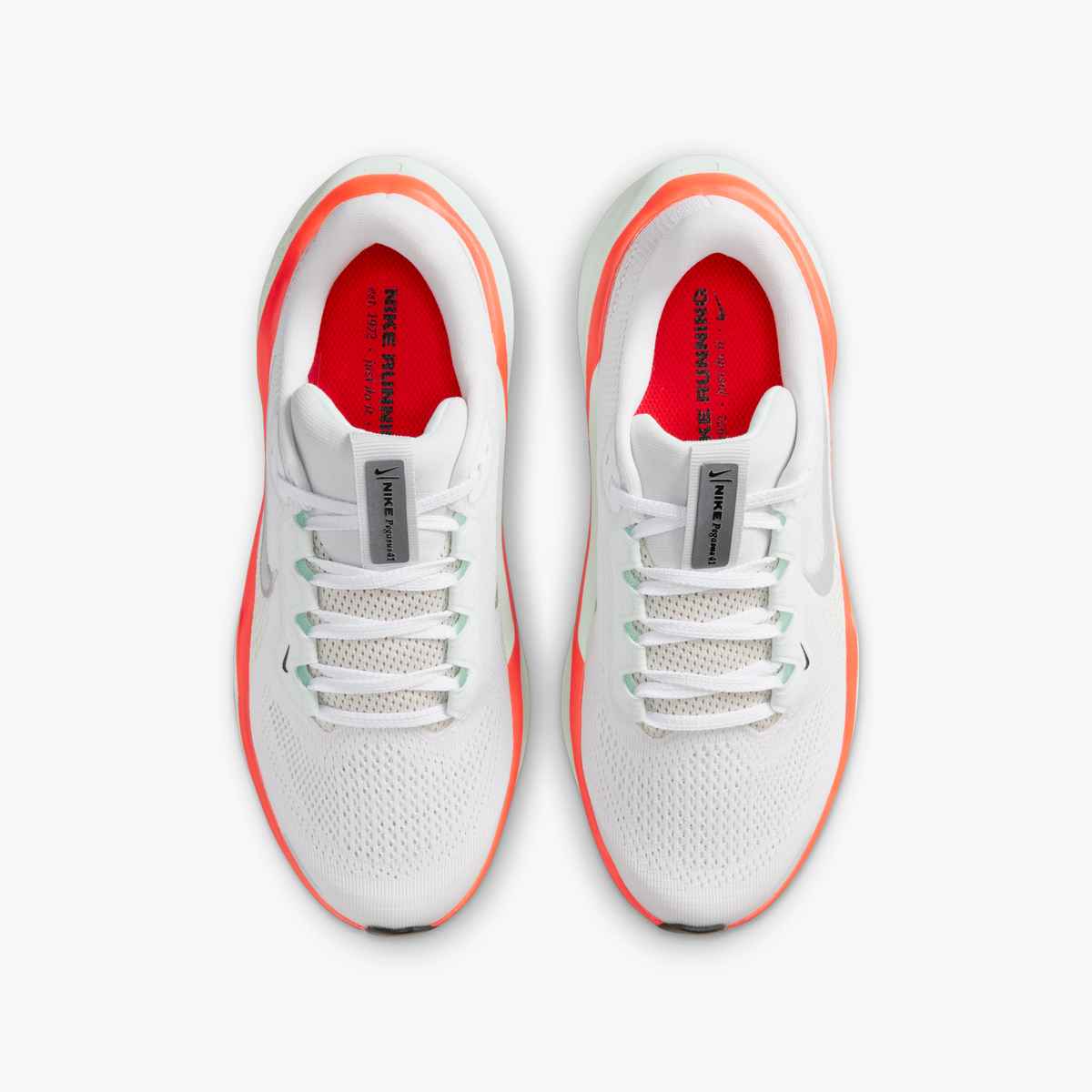 Kids Nike Pegasus 41 GS
