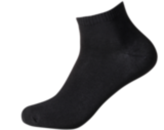 Sox & Lox Thin (7-11) Anklet (TN2)