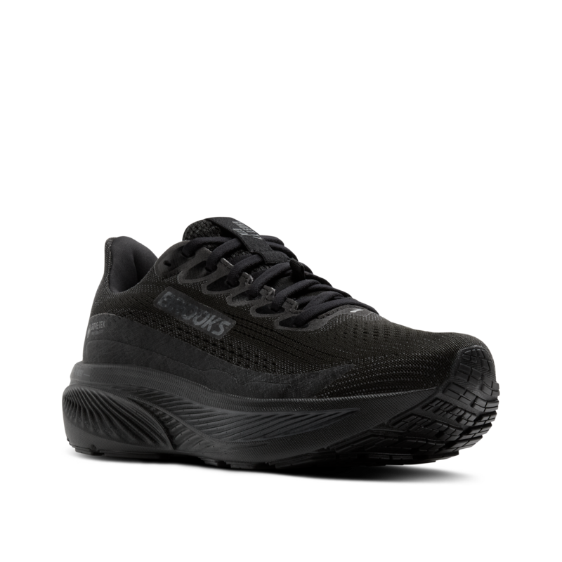 Womens Brooks Ghost 17 GTX (B-Width)