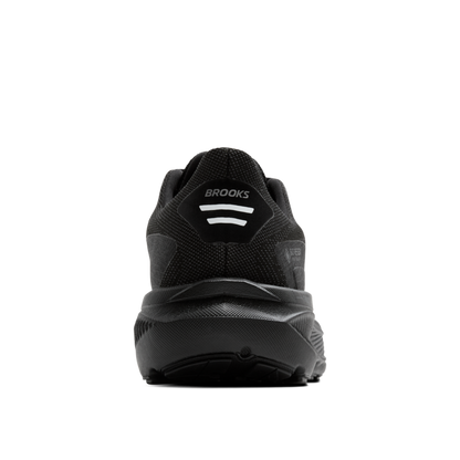 Womens Brooks Ghost 17 GTX (B-Width)