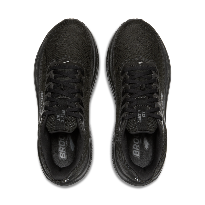 Womens Brooks Ghost 17 GTX (B-Width)