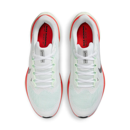 Mens Nike Pegasus 41