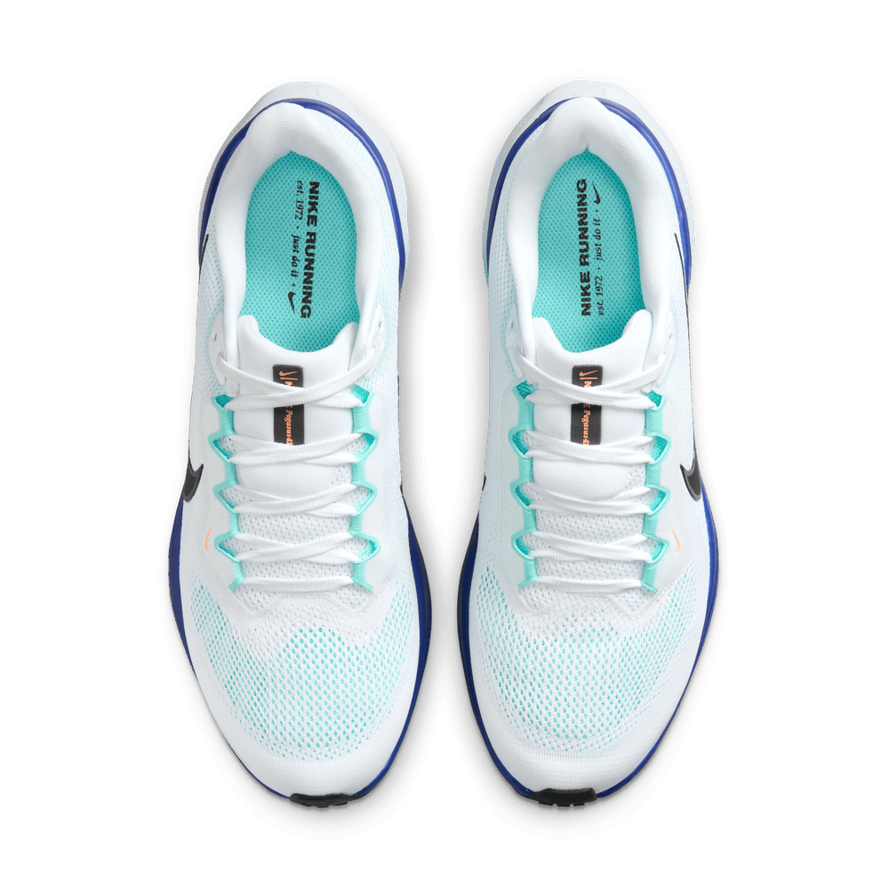 Mens Nike Pegasus 41