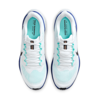 Mens Nike Pegasus 41