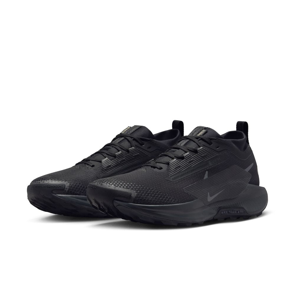 Mens Nike Pegasus Trail 5 GTX (D-Width)