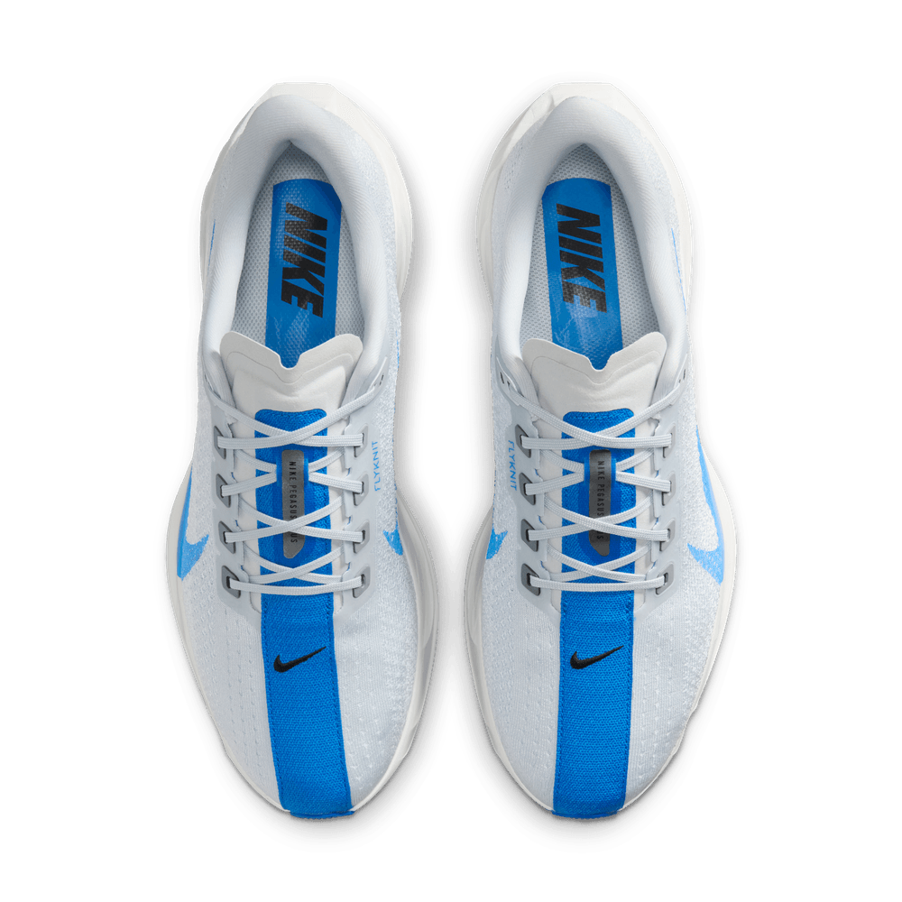 Mens Nike Pegasus Plus