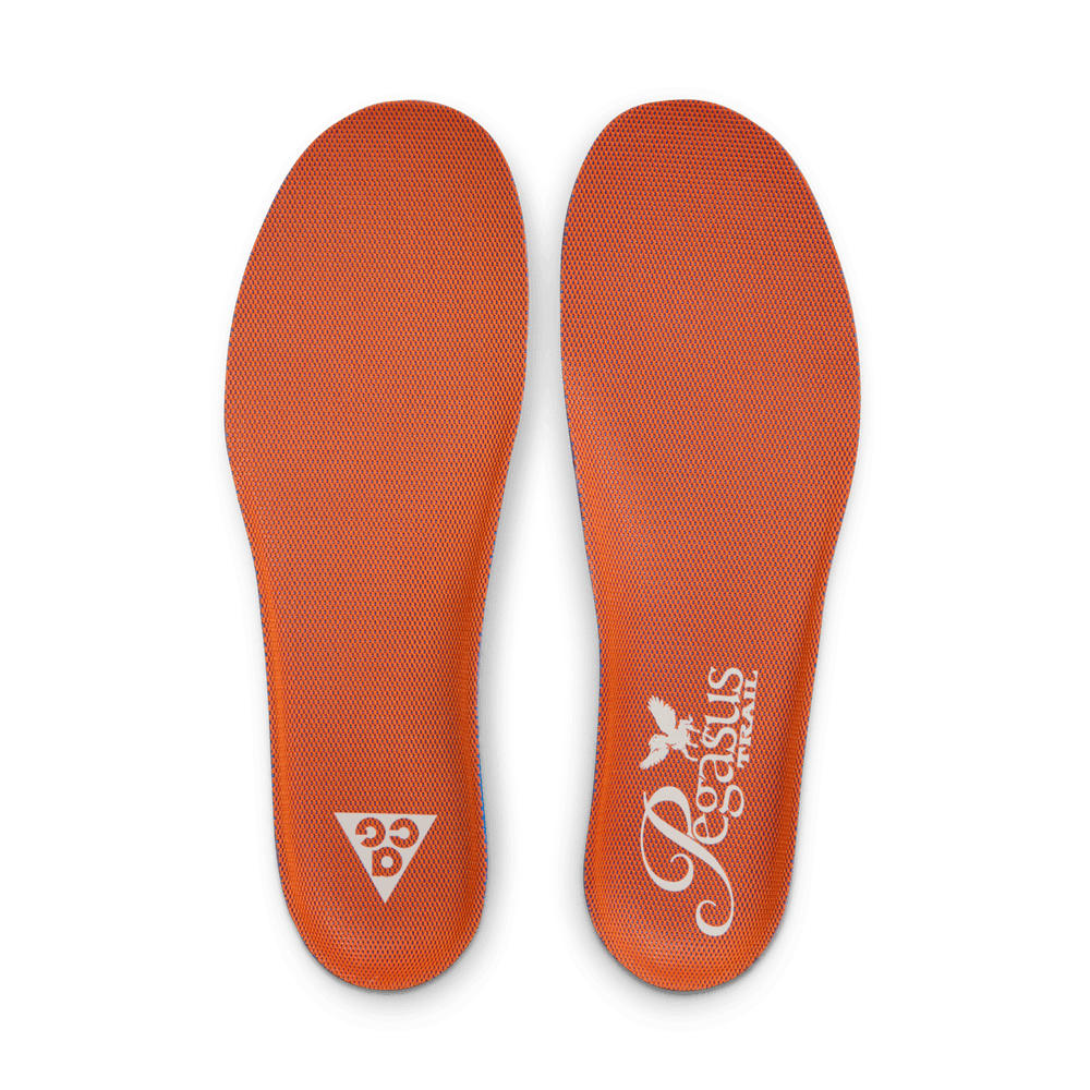 Mens Nike ACG Pegasus Trail (D-Width)