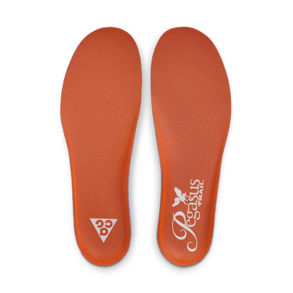 Mens Nike ACG Pegasus Trail (D-Width)