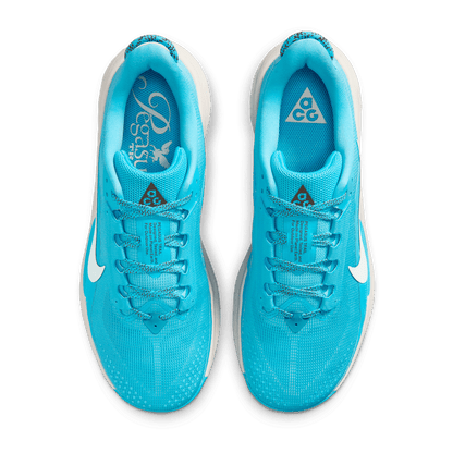 Mens Nike ACG Pegasus Trail (D-Width)