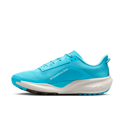Mens Nike ACG Pegasus Trail (D-Width)