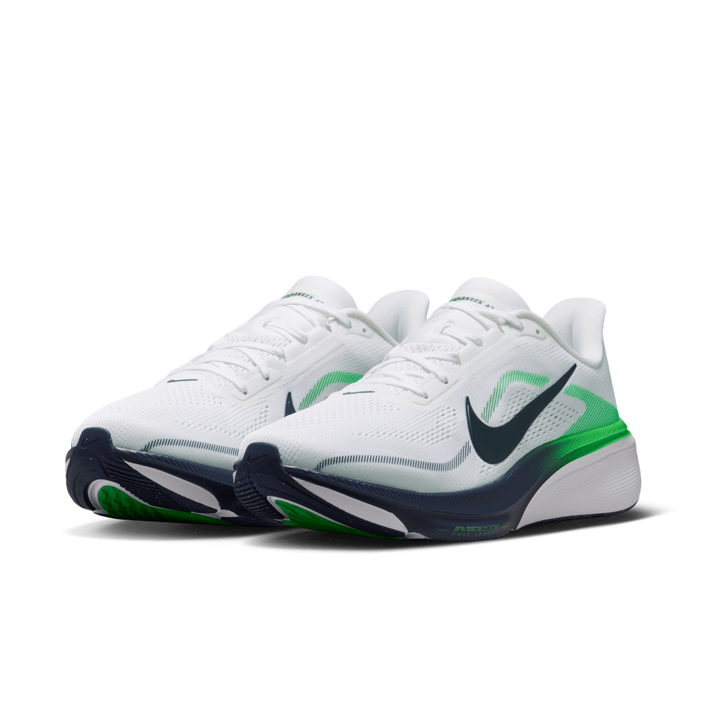 Mens Nike Pegasus 42 (D Width)