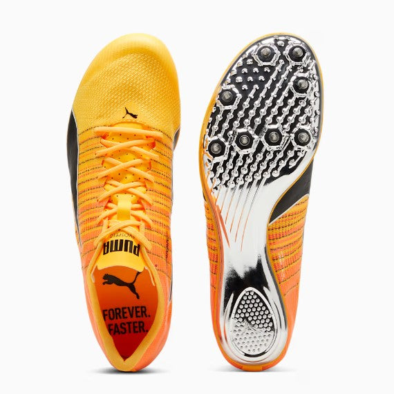 Puma evoSPEED BRUSH 6