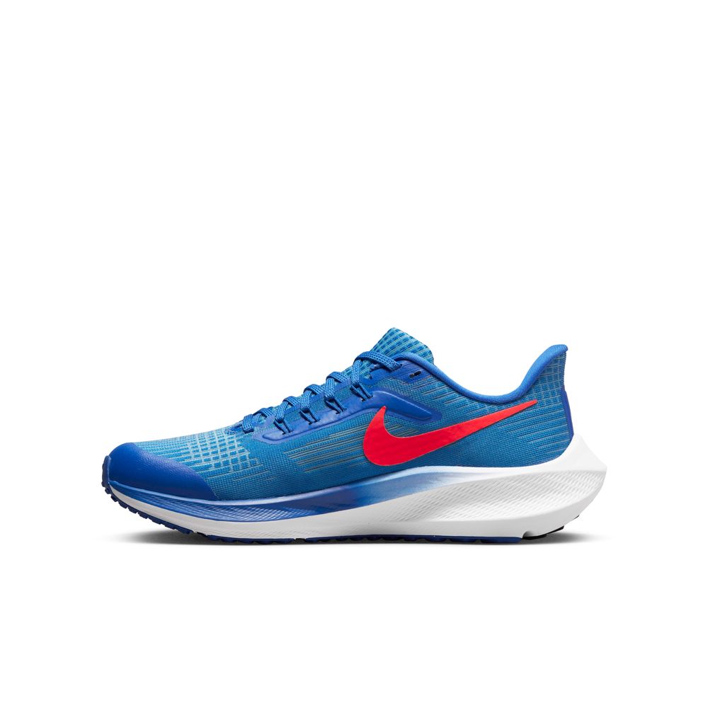 Nike air zoom on sale pegasus 36 gs